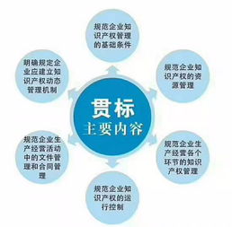 东昌府区iso20000体系认证 详细咨询 有什么好处