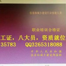 商标代理 企业品牌战略的护航者